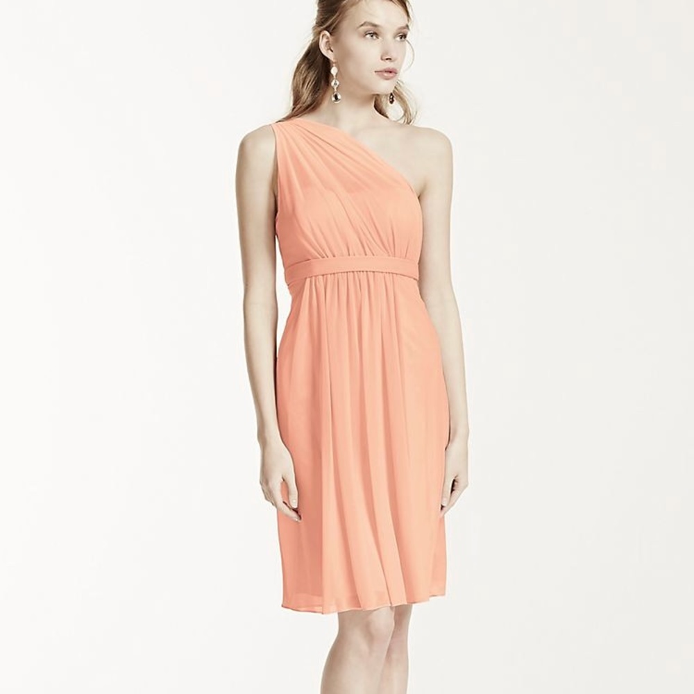 David’s bridal bridesmaid dress Bellini size 6